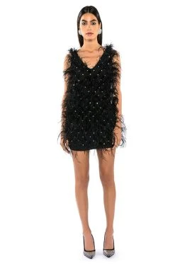 RENDEZVOUS SLEEVELESS FEATHER MINI DRESS -AKIRA Shop rendezvous sleeveless feather mini dress black 2 2 c1