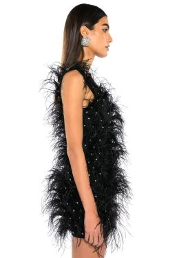 RENDEZVOUS SLEEVELESS FEATHER MINI DRESS -AKIRA Shop rendezvous sleeveless feather mini dress black 3 3 c1