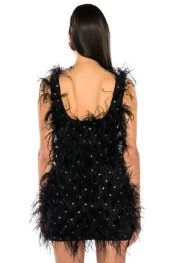 RENDEZVOUS SLEEVELESS FEATHER MINI DRESS -AKIRA Shop rendezvous sleeveless feather mini dress black 4 4 c1
